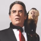 Tickets to Steppenwolf's DOMESTICATED on Sale Friday