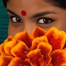 Berkeley Rep to Celebrate MONSOON WEDDING World Premiere Musical at Spring Gala