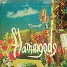 London-Based/Bahrain Natives Flamingods Unveil Album Track and Video for 'Rhama'