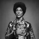 Prince's Warner Bro's Catalog Will Be Available to Stream