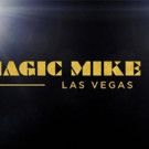 Channing Tatum to Bring MAGIC MIKE to the Stage In Las Vegas!