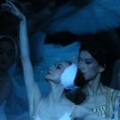 BWW Review: Shanghai Ballet Brings SWAN LAKE Back to Melbourne at Regent Theatre