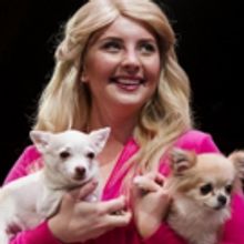 Derby Dinner Playhouse to Present LEGALLY BLONDE