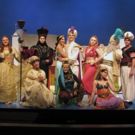 BWW Review: Wish, Wish, Wish: The Magic of MSMT's ALADDIN