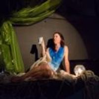 BWW Reviews: Commune with Your Inner Sailor at PETE's DROWNED HORSE TAVERN, Part of C Photo