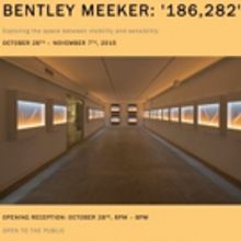BWW Preview: BENTLEY MEEKER Solo Show at National Arts Club, 10/26 to 11/7