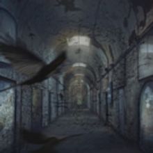 Katherine Catmull on SISTER OF SHATTERING GLASS February 13th Deadline