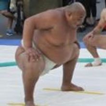 BWW Recap: Read Patti Murin's BACHELORETTE Recap, or she will Eat You