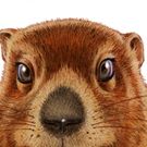 BWW Contest: Enter To Win Two Tickets To A Special Performance Of GROUNDHOG DAY