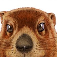 BWW Contest: Enter To Win Two Tickets To A Special Performance Of GROUNDHOG DAY