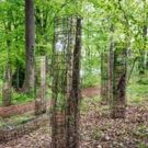 Sandra Muss Installation at The Kreeger Museum Sculpture Garden