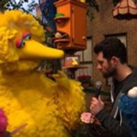 VIDEO: Billy Eichner Goes In Search of Kindness on SESAME STREET Video