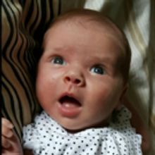 2-Month-Old Daisy Tanner to Make Stage Debut at Lynn University in WAVE YOUR FLAG