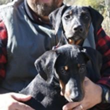 New Bourbon Brand for Dog Lovers