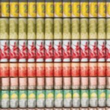Art Museum of the Americas Presents THE GREAT SWINDLE: Works by Santiago Montoya…