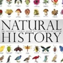 Smithsonian Presents New Exhibit Celebrating National Museum of National History 145 