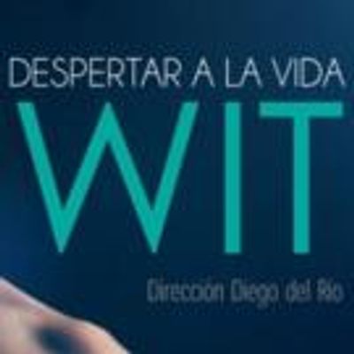 'Wit: Despertar a la vida' mucho mas que una obra de teatro