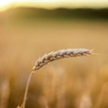 Finborough Theatre Celebrates Canada's 150th Birthday with FOOTPRINTS ON THE MOON