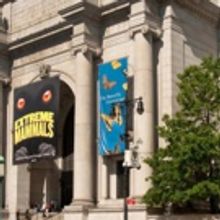 American Museum of National History Presents MUMMIES Exhibit