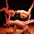 ITALIAN DANCE CONNECTION Sets 2016 Festival Lineup, 5/24-28