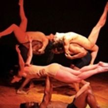 ITALIAN DANCE CONNECTION Sets 2016 Festival Lineup, 5/24-28
