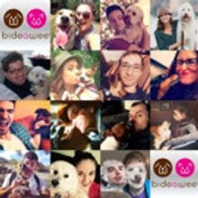 PETQUITY DEPUTIES Concert Set for Feinstein's/54 Below, 5/1