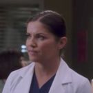 VIDEO: Sneak Peek - 'Leave It Inside' Episode of ABC's GREY'S ANATOMY
