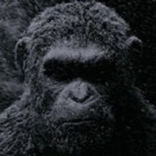 VIDEO: Times Square Digital Billboard for WAR FOR THE PLANET OF THE APES Revealed!