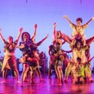 Annual DanceAfrica Festival Begins Today at BAM