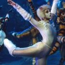 BWW Review: CATS Opens In Sydney To Share The Whimsy of T.S Elliot's Poems and…