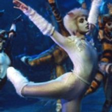 BWW Review: CATS Opens In Sydney To Share The Whimsy of T.S Elliot's Poems and Andrew