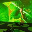 New Museum Presents Upcoming Season's Exhibition Schedule