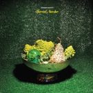 Swarming Branch Premieres New Single; New 'Surreal Number' Album Drops Today
