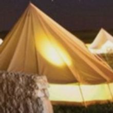 BWW Review: STATION ELEVEN by Emily St. John Mandel