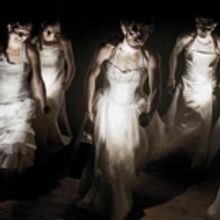 Gecko's New Show Exploring Political Divorce Opens Next Week at Warwick Arts Centre