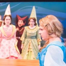 BWW Review: First Stage World Premiere ELLA ENCHANTED Heroically Speaks to the Value 