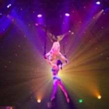 BWW Review: ABSINTHE L.A. Brings Sin City to Los Angeles, and It's an Instant Hit