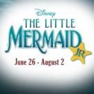 Cast Announced for Disney's THE LITTLE MERMAID JR. at Stages Theatre Company