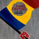 The UofSC Department of Theatre and Dance to Present MAD FOREST