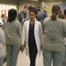 BWW Recap: GREY'S ANATOMY 'Worms' its Way Into Our Hearts and Tear Ducts