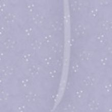 Tacoma Little Theatre Presents  THE UNDERPANTS