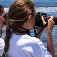 Palm Beach Photographic Centre Announces FOTOcamp for Kids 2017
