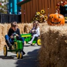 20th HalloWeekends Arrives at Cedar Point