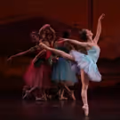 American Repertory Ballet Announces its 2016 Annual NUTCRACKER Season