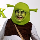BWW Review: SHREK THE MUSICAL is Freakish Fun!