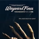 FX to Air WAYWARD PINES Season One Marathon in Advance of Season 2 Premiere on FOX