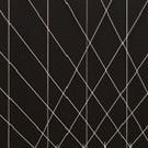 World-Renowned Brazilian-Born Artist, Lydia Okumura Set to Make Utah Debut at Weber…