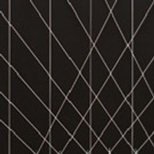 World-Renowned Brazilian-Born Artist, Lydia Okumura Set to Make Utah Debut at Weber S