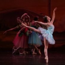 American Repertory Ballet Announces NUTCRACKER at South Orange Performing Arts Center