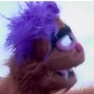 STAGE TUBE: AVENUE Q UK/Ireland Tour Takes a Weekend in Brighton